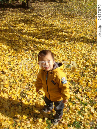 男の子 2437670