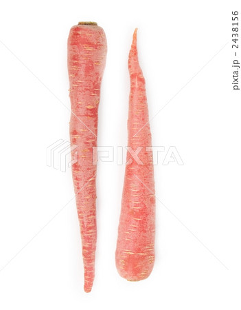 金時人参2本 金時人参2本 2438156