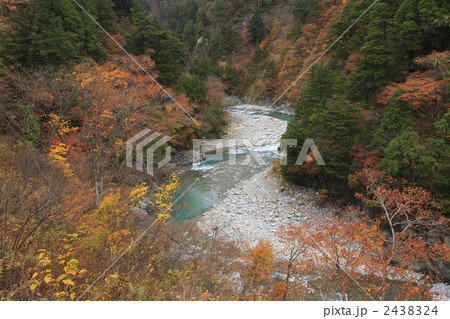 秋の黒部峡谷 秋の黒部峡谷 2438324