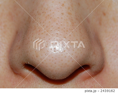 2439162