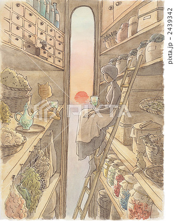 猫と女性と夕日 2439342