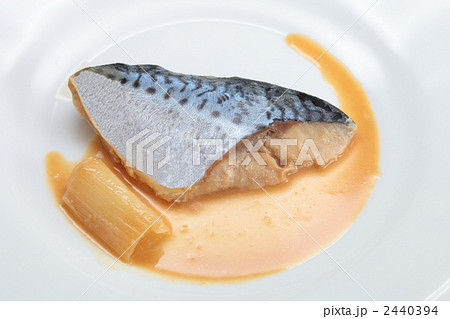 さばの味噌煮 さばの味噌煮 2440394