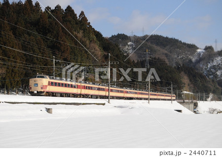 485系　雷鳥 2440711
