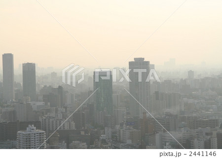 都庁からの眺め 2441146