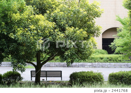 台原森林公園 台原森林公園 2441768