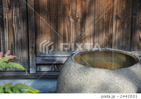 木陰の手水鉢 木陰の手水鉢 2442031