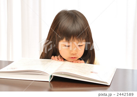 図鑑を見つめる女の子 2442589