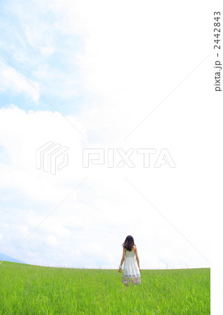 草原に佇む女性の写真素材