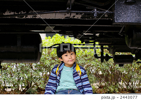 公園に展示されているD51と男の子 2443077
