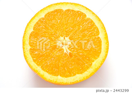 2443299