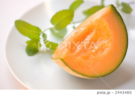 2443460