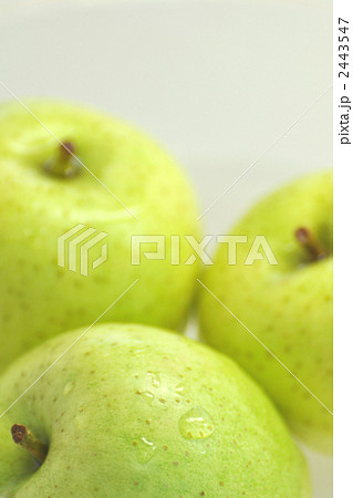 2443547