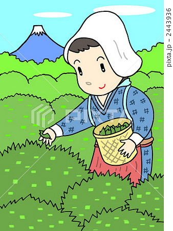 八十八夜のイラスト素材