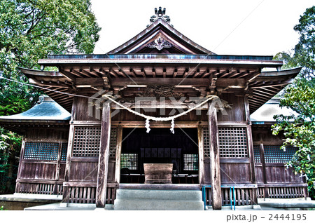 江田神社 2444195