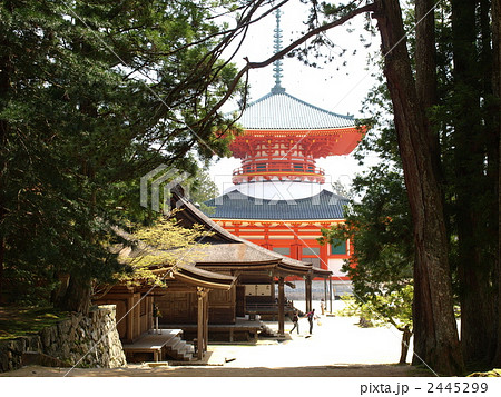 世界遺産「高野山金剛峯寺・壇場伽藍の根本大塔と御影堂、准胝堂、孔雀堂」 2445299