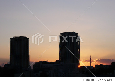 市川市風景(市川駅周辺) 市川市風景(市川駅周辺) 2445384