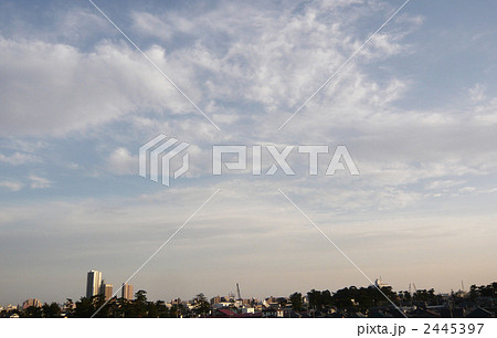 市川市の風景（菅野・八幡の黒松） 2445397