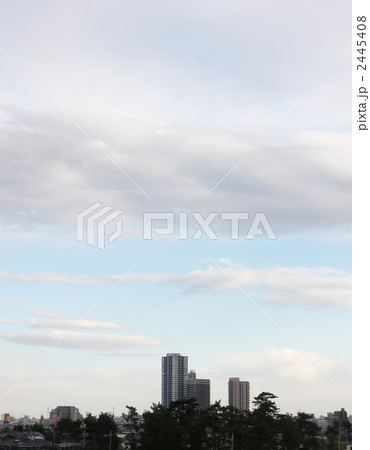 市川市の風景（菅野・八幡の黒松） 2445408