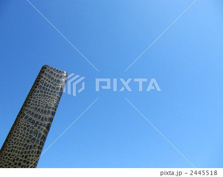 卒業証書 2445518