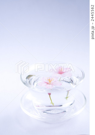 サクラグラス サクラグラス 2445562