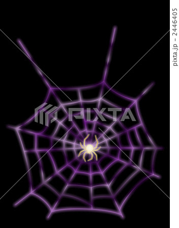 蜘蛛 紫 蜘蛛 紫 2446405