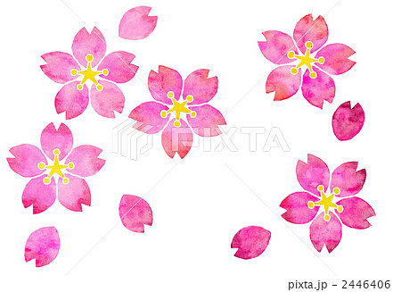 満開の桜 満開の桜 2446406