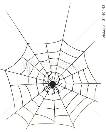 の 巣 蜘蛛 クモがたくさん出る家には、ある“共通点“があった？｜クモ｜害虫なるほど知恵袋