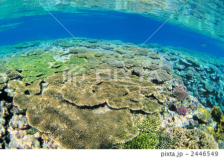 竹富の海 2446549