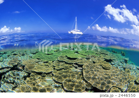 竹富の海 2446550