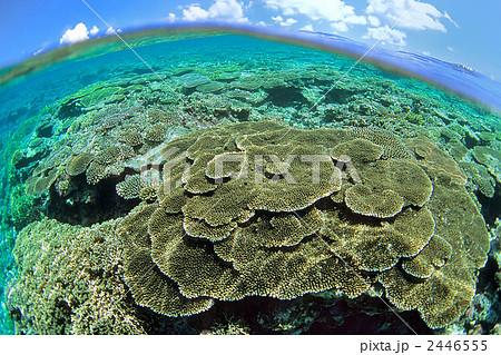 竹富の海 竹富の海 2446555