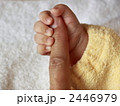 絆 2446979