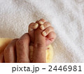 手と手 2446981