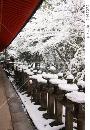 春日大社の雪景色 (縦位置 2) 春日大社の雪景色 (縦位置 2) 2447079