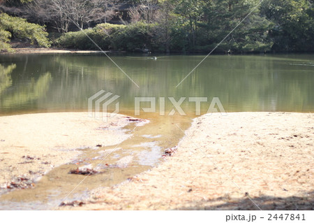 池に注ぐ小川 池に注ぐ小川 2447841
