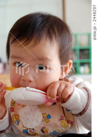 魚と赤ちゃん 魚と赤ちゃん 2448297