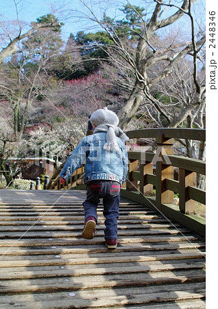 橋を渡る子供 橋を渡る子供 2448346