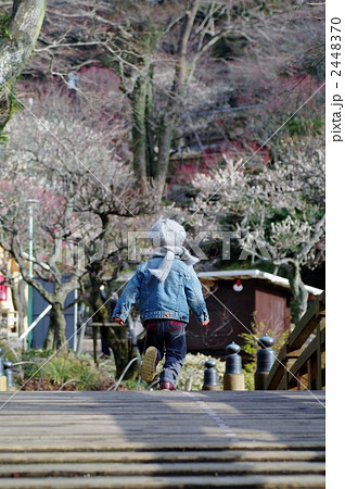 橋を渡る子供 橋を渡る子供 2448370