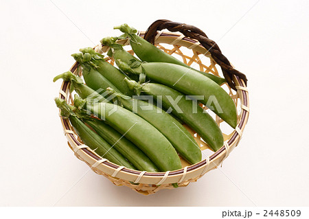 スナップえんどう スナップえんどう 2448509