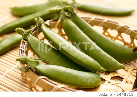 スナップえんどう スナップえんどう 2448519