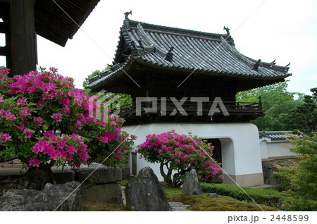 京都 興聖寺のつつじ 京都 興聖寺のつつじ 2448599