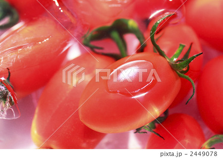 水に浮いたミニトマト 2449078