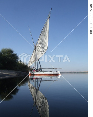 フルーカ 2449206