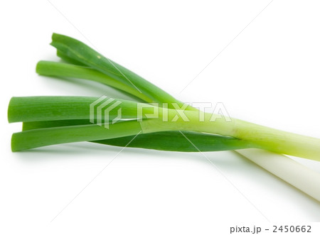 ねぎの葉の部分 2450662