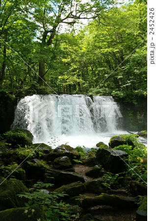 奥入瀬の銚子大滝 2452426