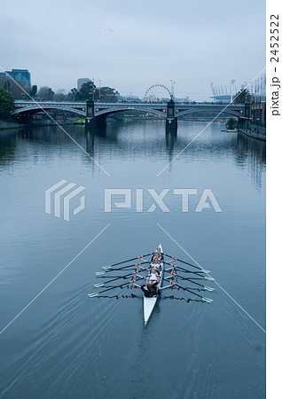 メルボルンのヤラ川でトレーニングするボート メルボルンのヤラ川でトレーニングするボート 2452522