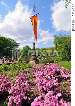 セントラルパーク、ベセスダテラス満開のツツジ 2452814
