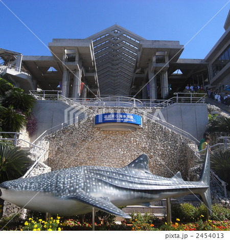 沖縄美ら海水族館 2454013