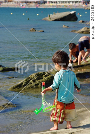 磯遊び 磯遊び 2455288