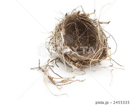 鳥の巣 鳥の巣 2455335