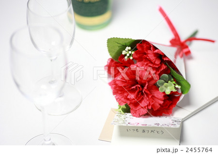 母の日のイメージ 2455764